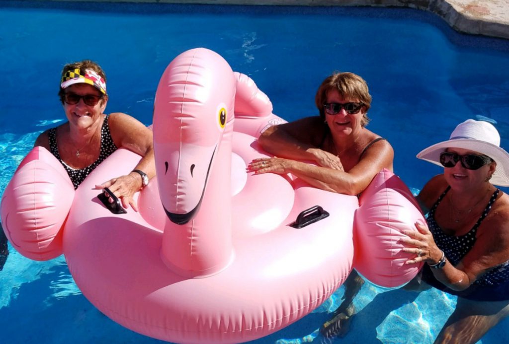 Flamingo float