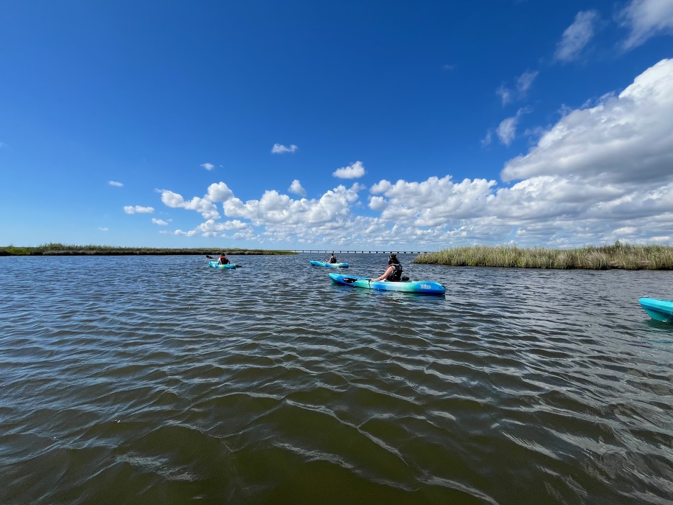 Thing To Do Jean Guite Creek Kayak Tours