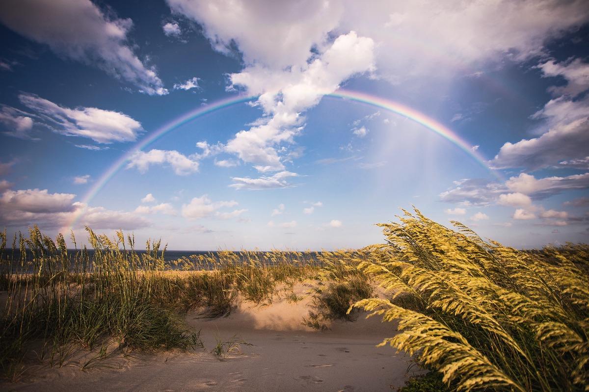 Spring Guide to the NC Outer Banks
